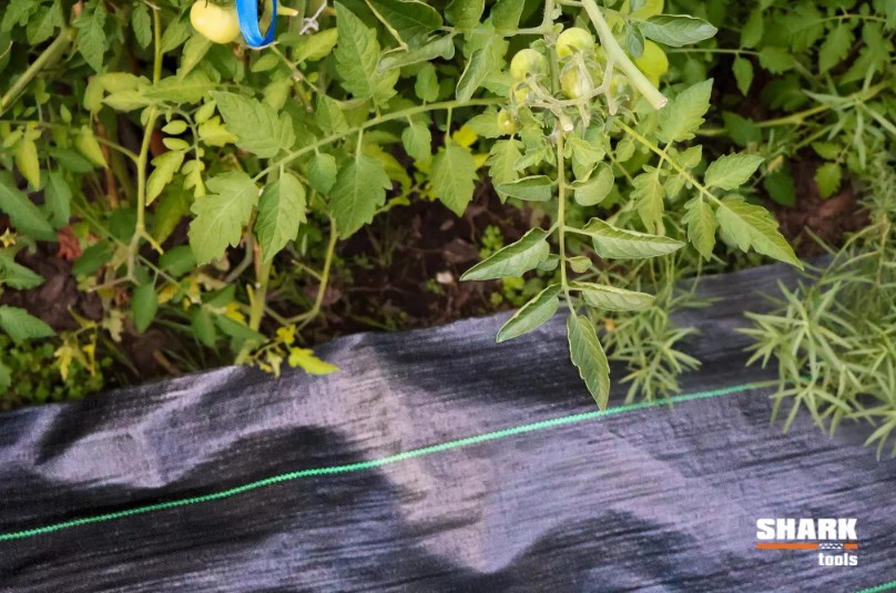 Agrowłóknina ściółkująca SHARK P-70 1,6x10 m czarna